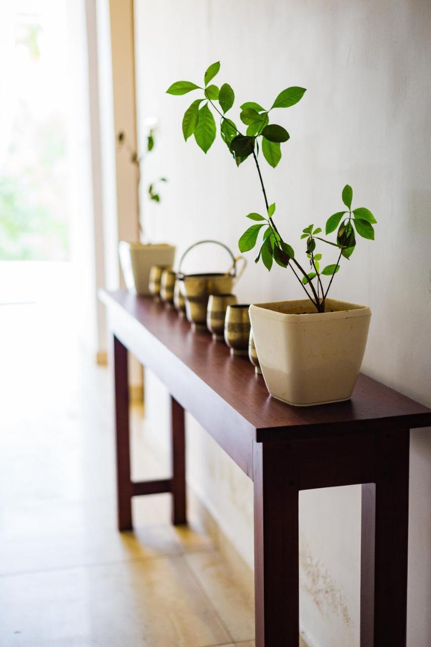 Mekosha Ayurveda Spa Suites Retreat & Resort Attingal Exterior foto